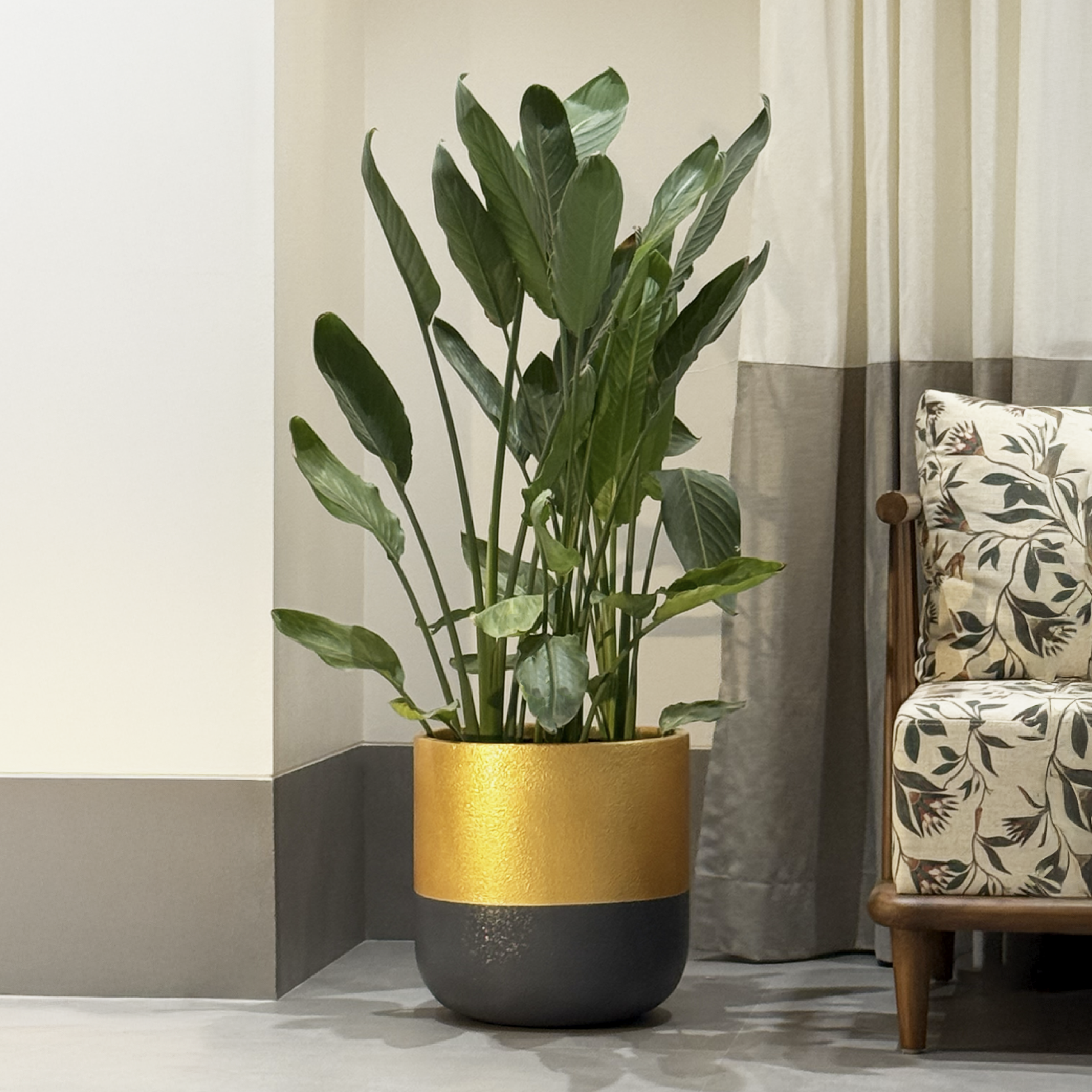 Planter Collection