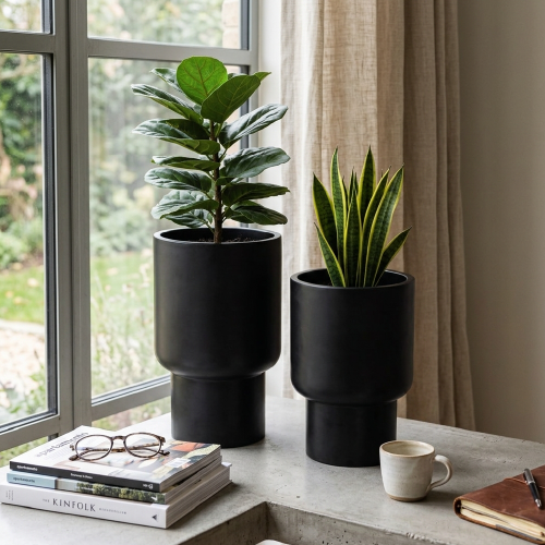 Workspace Collection