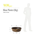 Barillo Lotus Planter