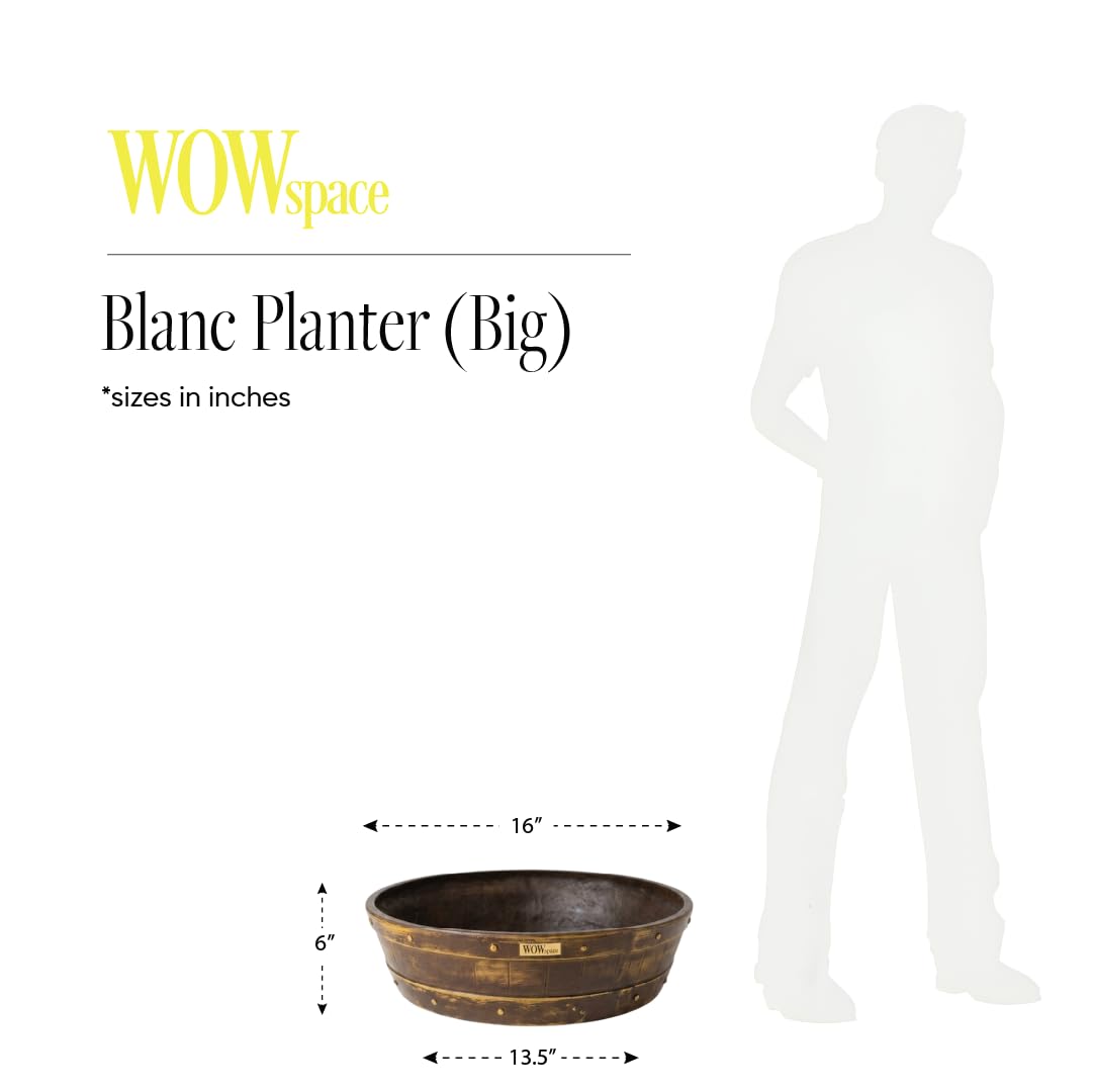 Barillo Lotus Planter
