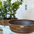 Barillo Lotus Planter