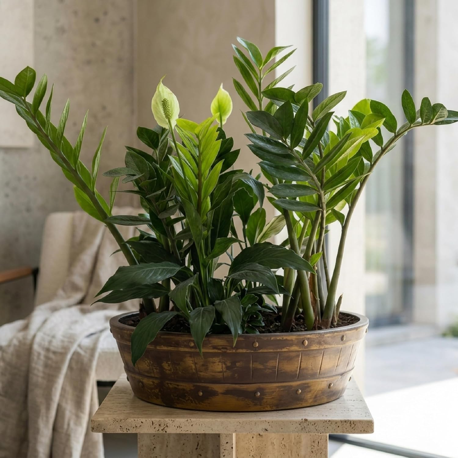 Barillo Lotus Planter