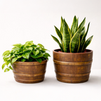 Barillo Planter