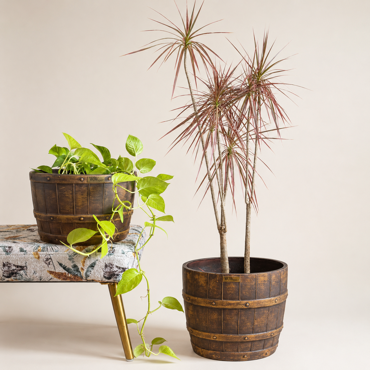 Barillo (Set of 2)