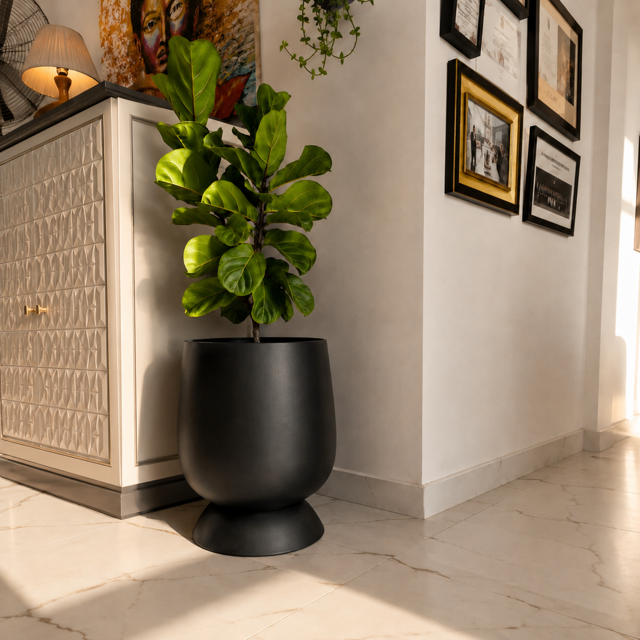 Alora (Black)