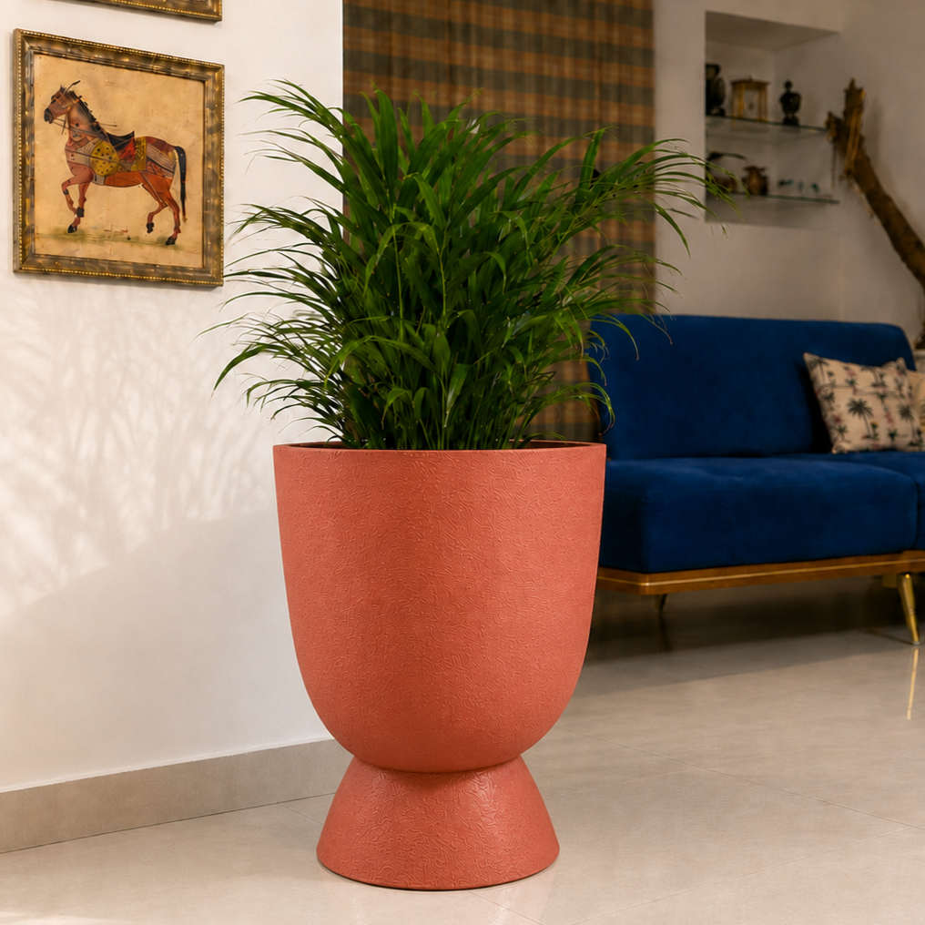 Blanc - Terracotta