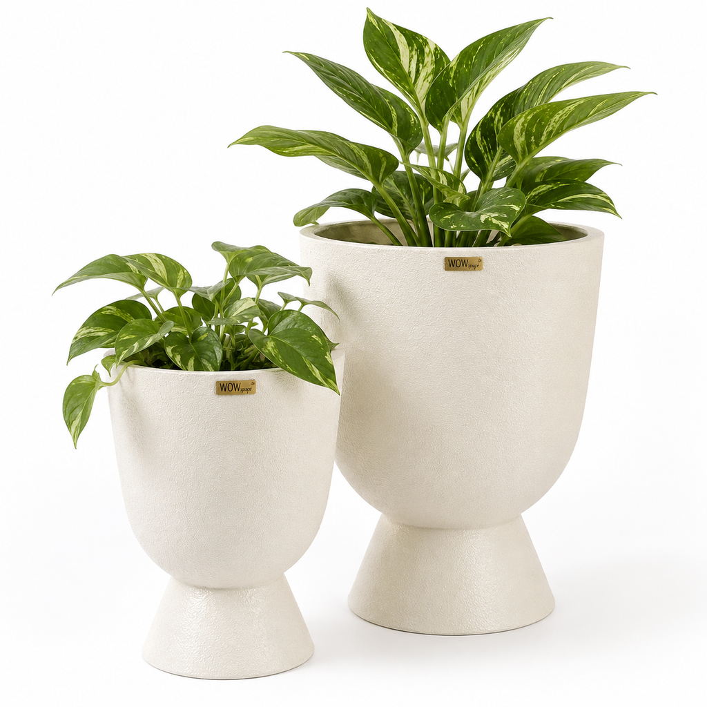 Blanc FRP Planter (Ivory)