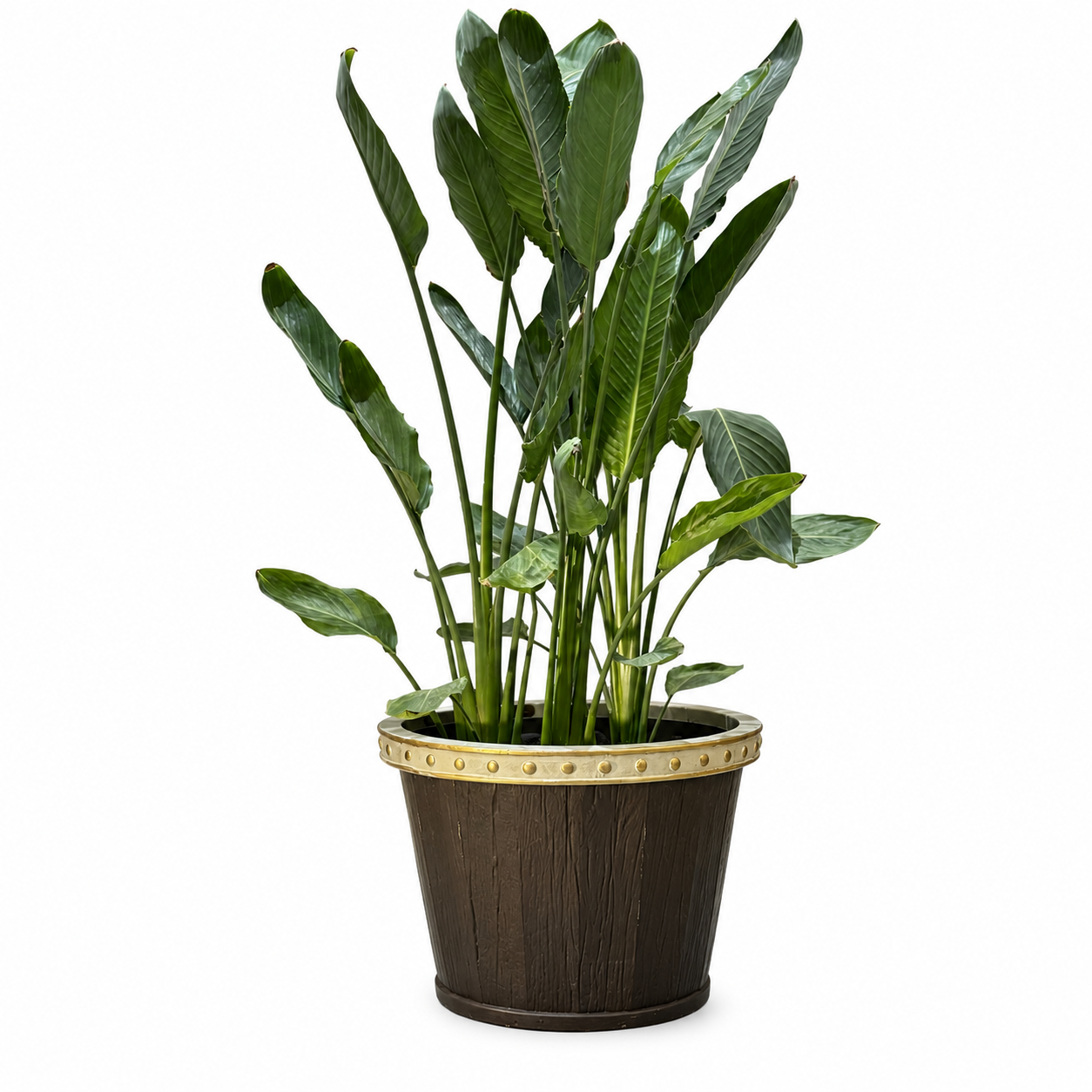 Cosmowood FRP Planter
