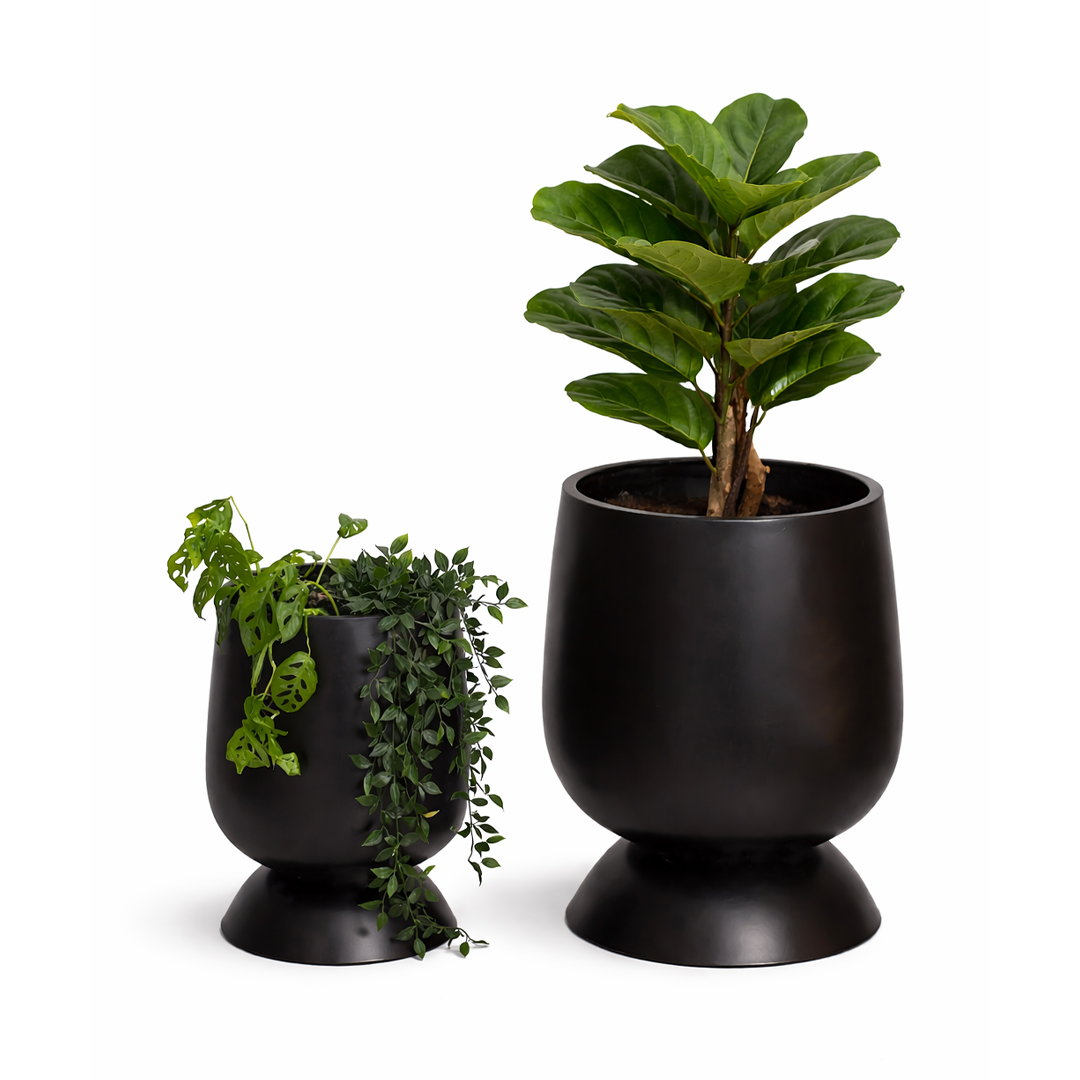 Alora FRP Planter (Black)