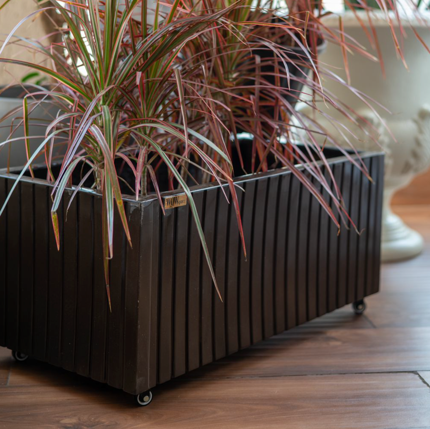 Recta – Urban Collection - Pack of 2