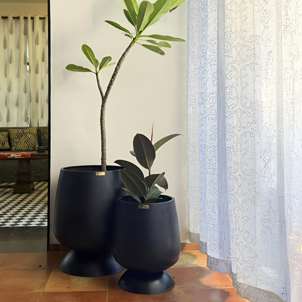 Alora FRP Planter (Black)