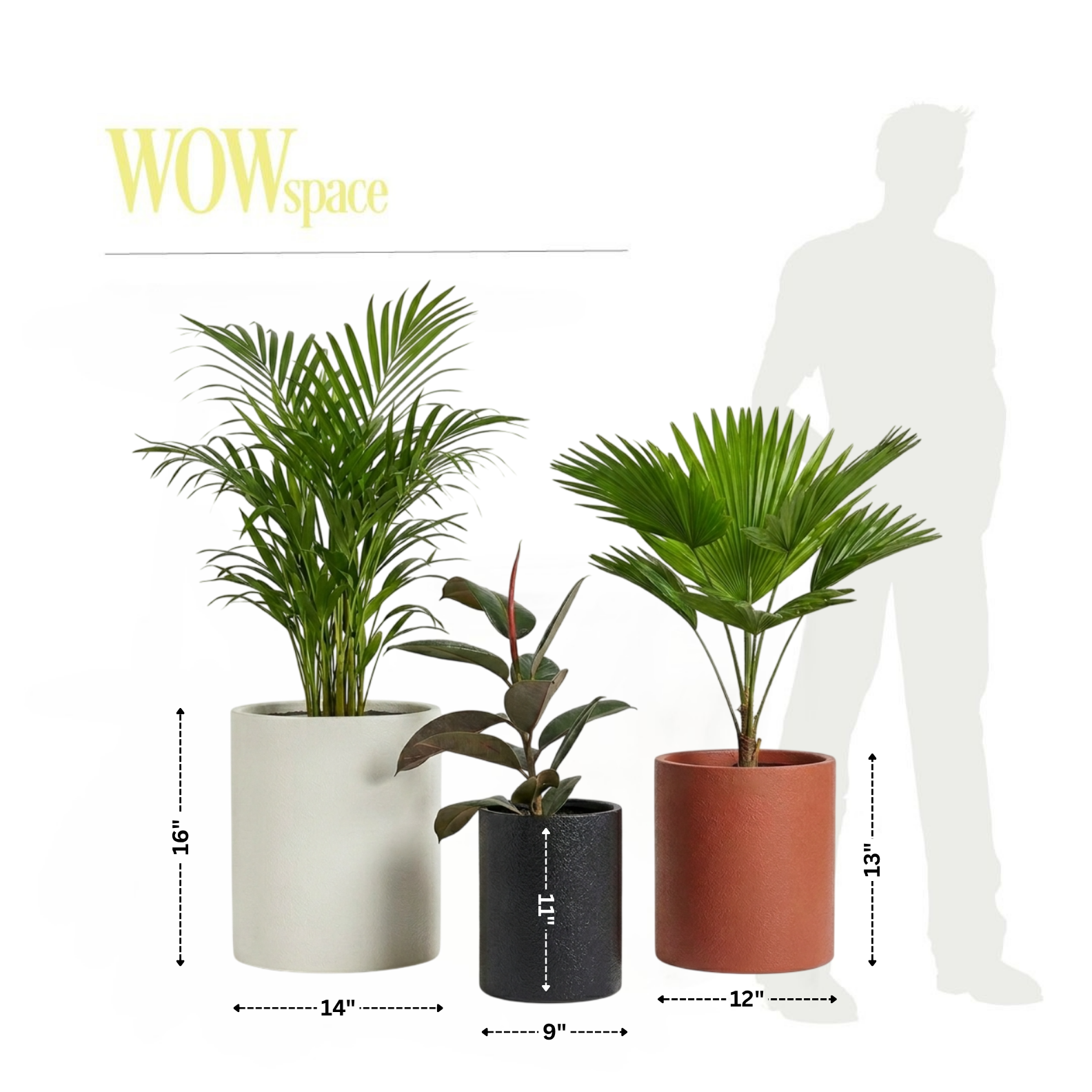 Trio (Set of 3)