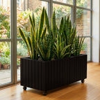 Recta (Black)