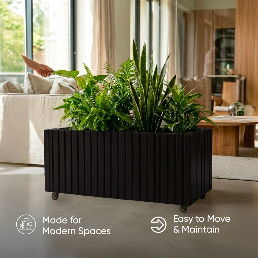 Recta (Black)