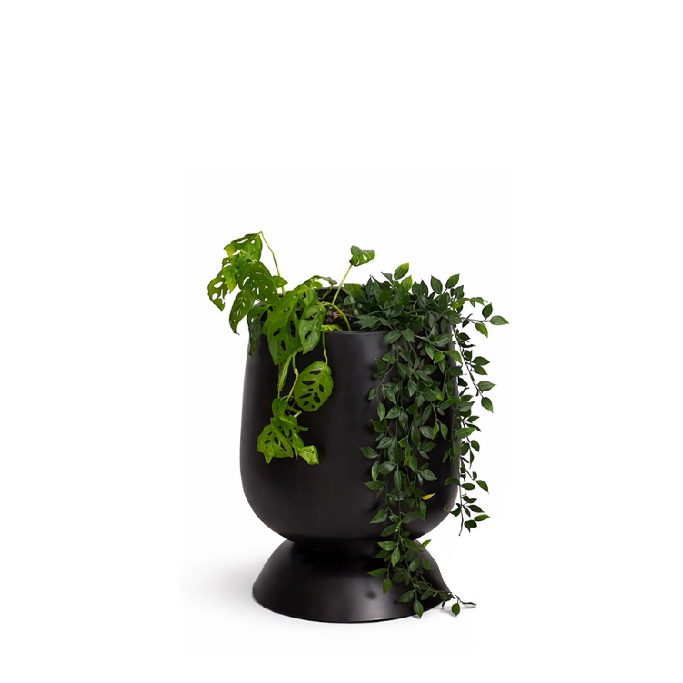 Alora Planter