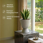 Blanc