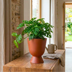 Blanc - Terracotta