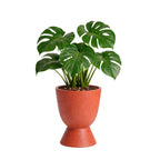 Blanc - Terracotta