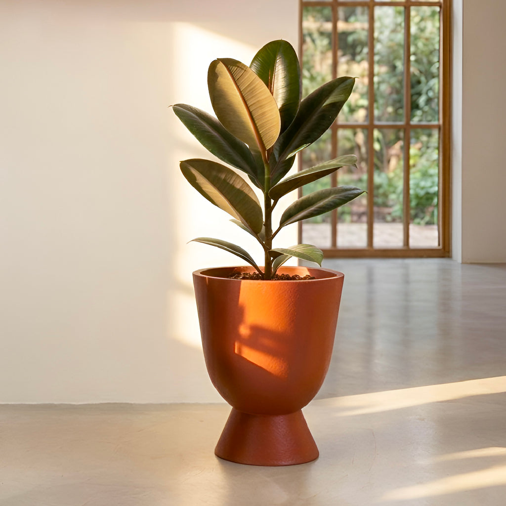 Blanc - Terracotta