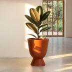 Blanc - Terracotta