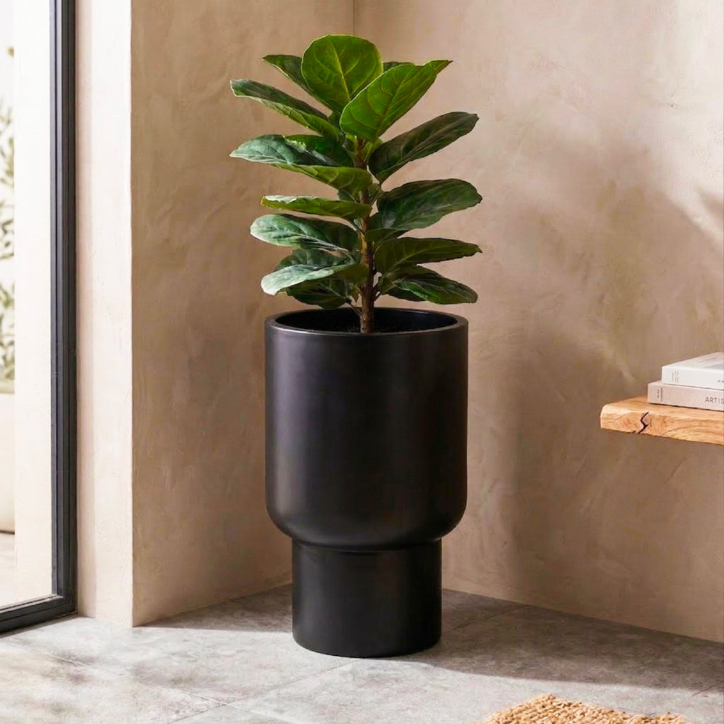 Noir