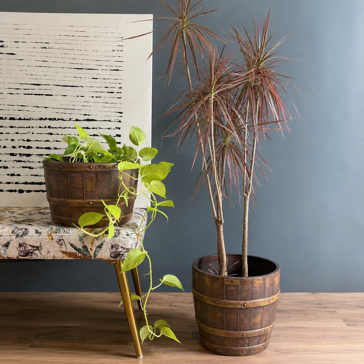 Barillo (Set of 2)
