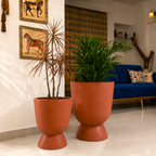 Blanc FRP Planter (Terracotta)