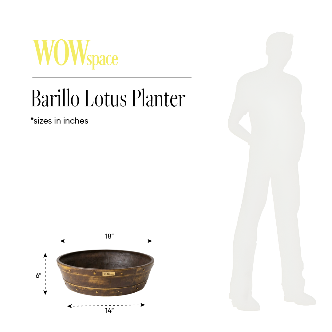 Barillo Lotus