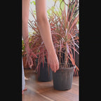 Recta Planter (Brown)